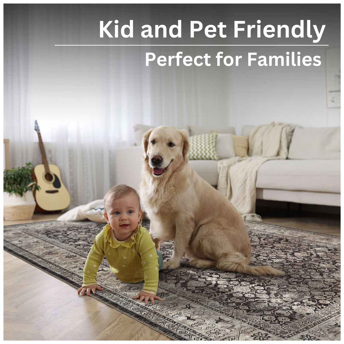 Ionia IO-61 Traditional Bordered Charcoal and Beige Rug