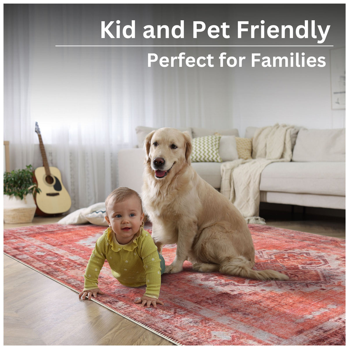 Ionia IO-65 Traditional Medallion Pink Rug