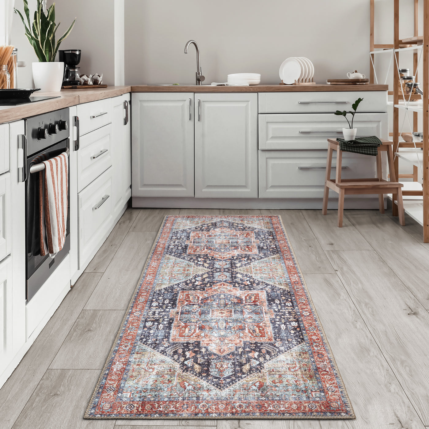 Ionia IO-59 Traditional Medallion Multicolor Washable Rug | Non-Slip