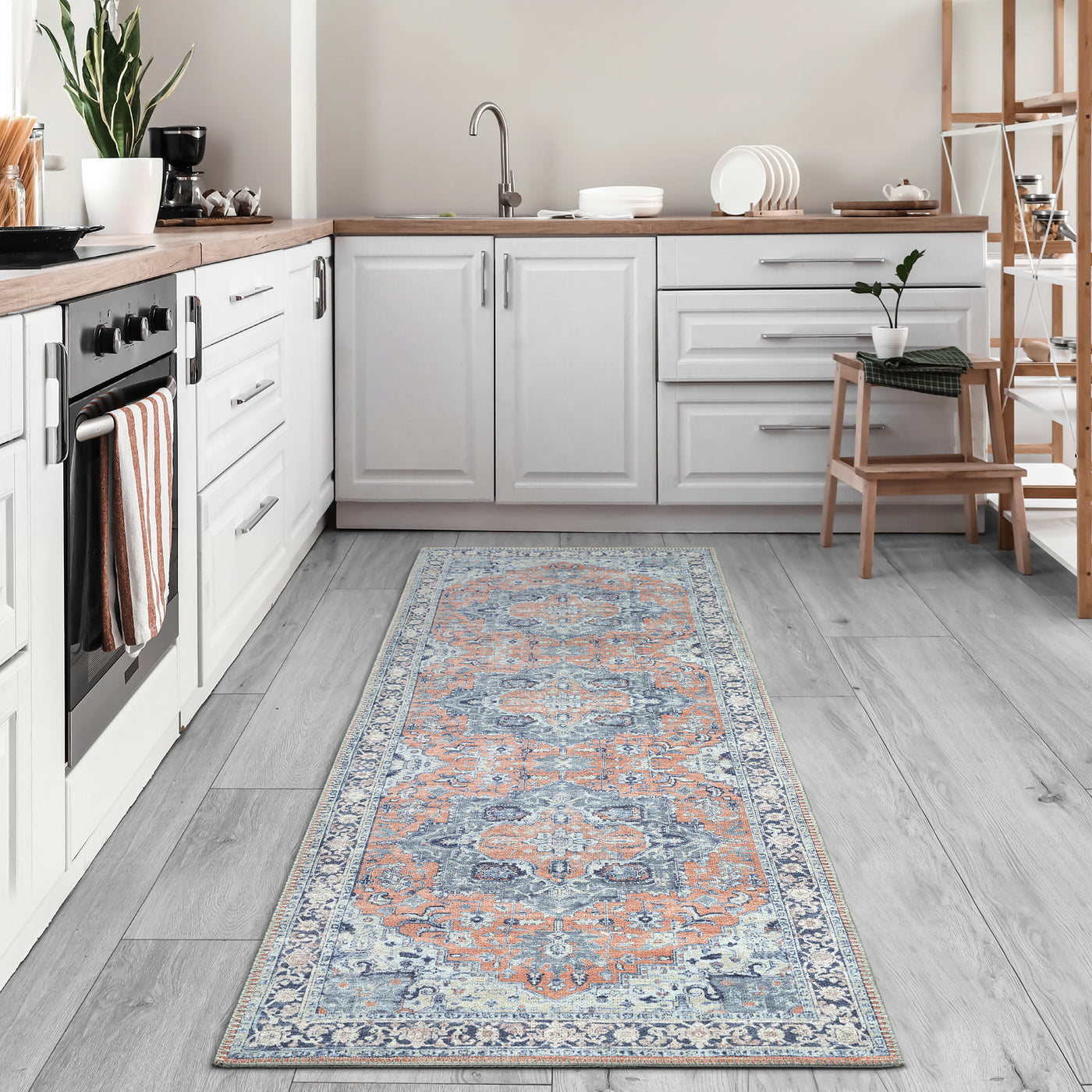 Ionia IO-14 Traditional Medallion Coral and Blue Washable Rug | Non-Slip