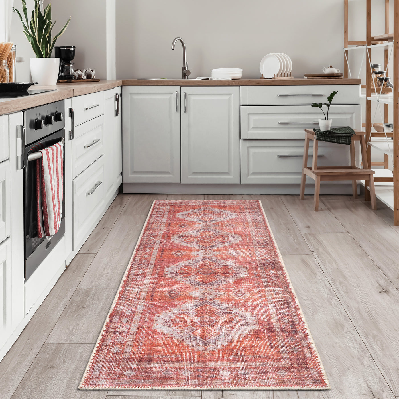 Ionia IO-65 Traditional Medallion Pink Rug