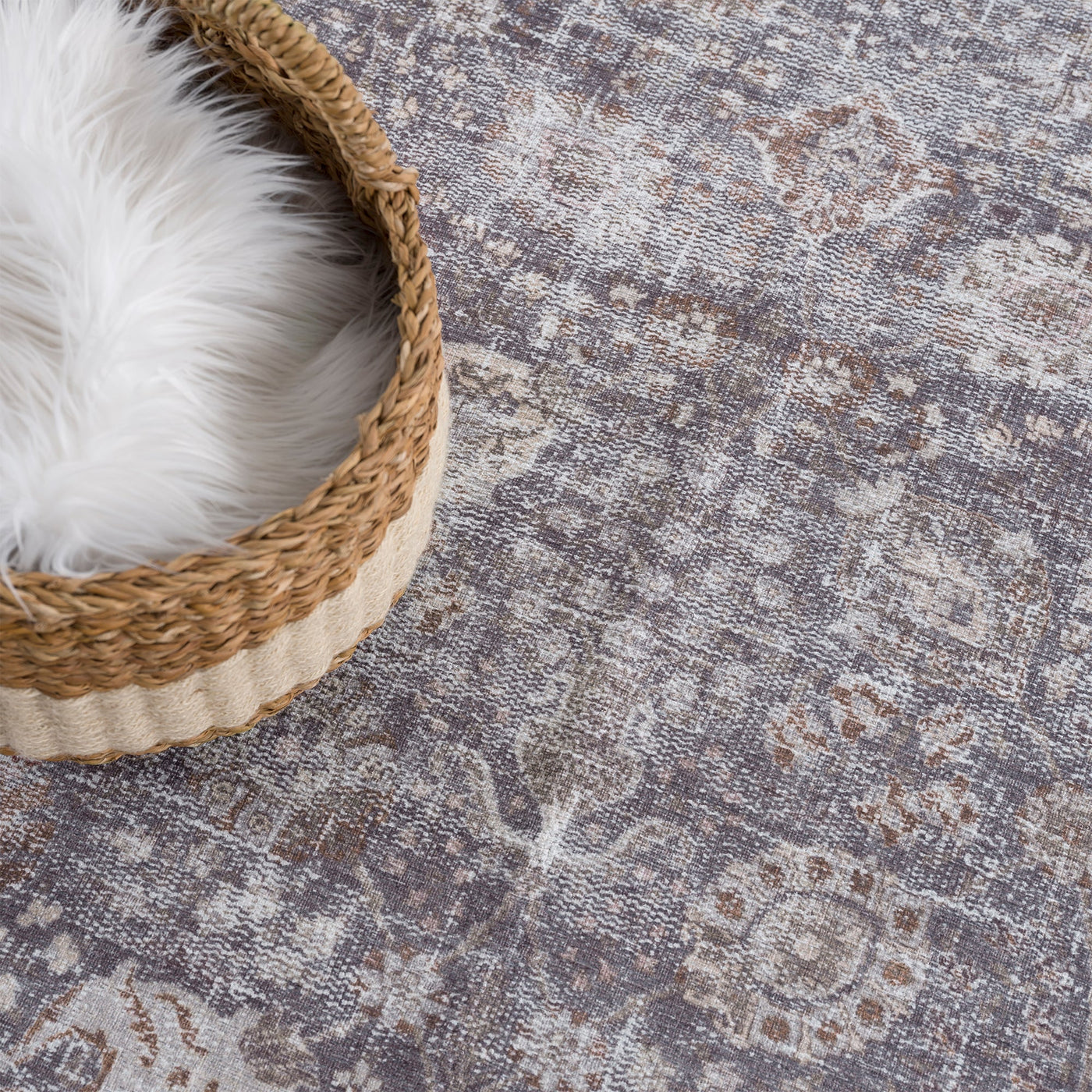Ionia IO-06 Traditional Washable Rug