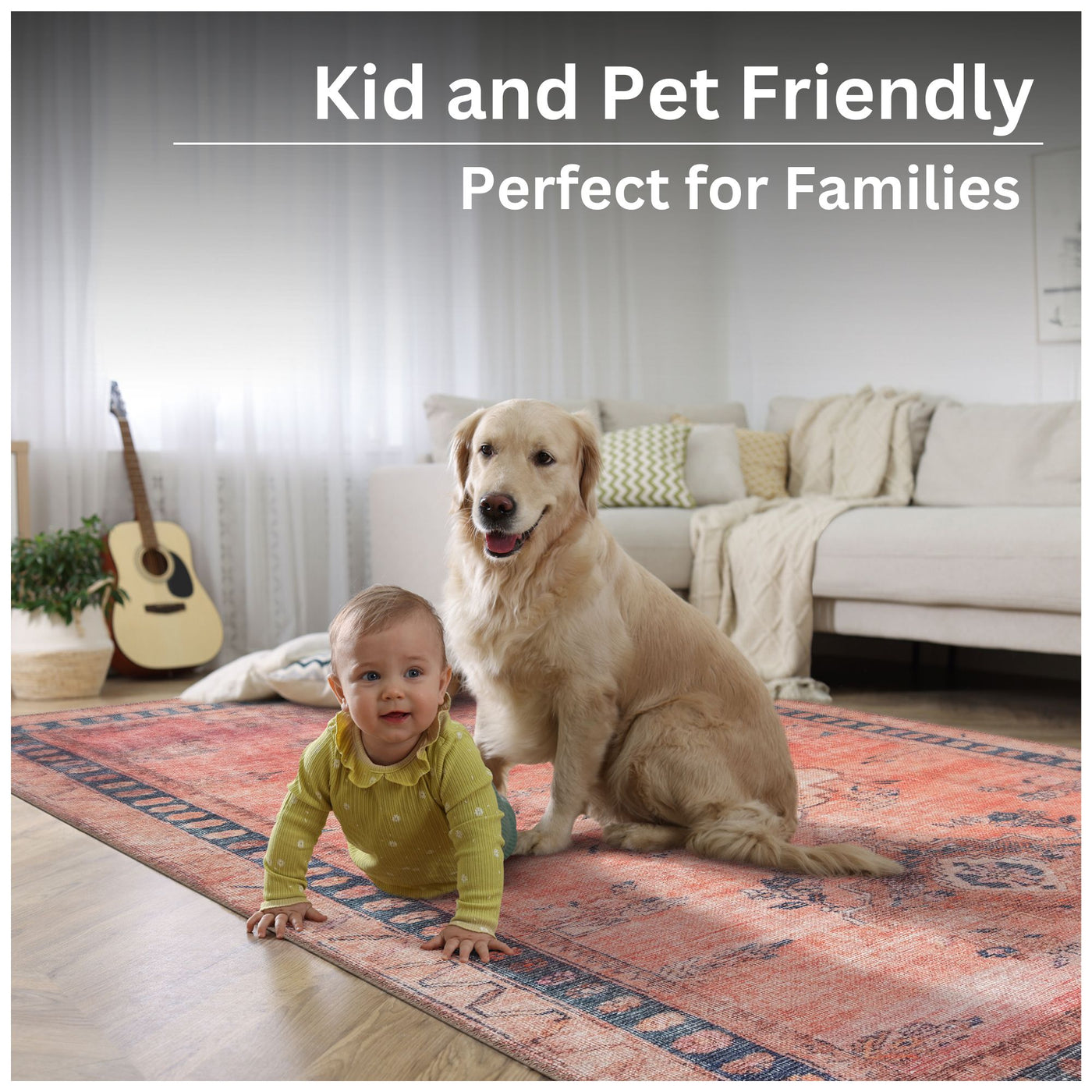 Ionia IO-56 Traditional Bordered Peach Rug