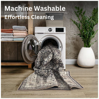 Ionia IO-61 Traditional Bordered Charcoal and Beige Rug