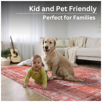 Ionia IO-65 Traditional Medallion Pink Rug